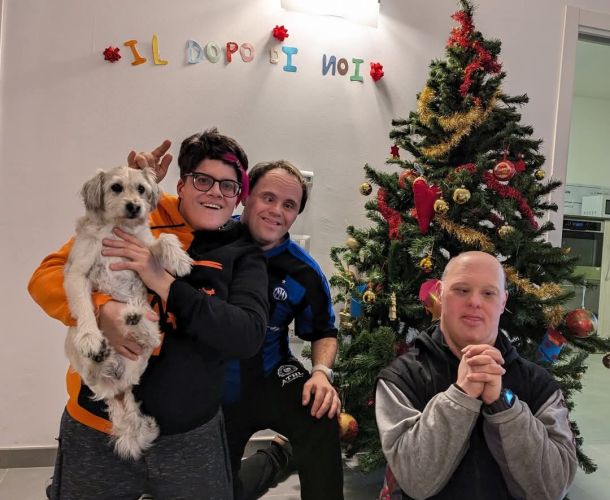 quadrifoglio albero di natale